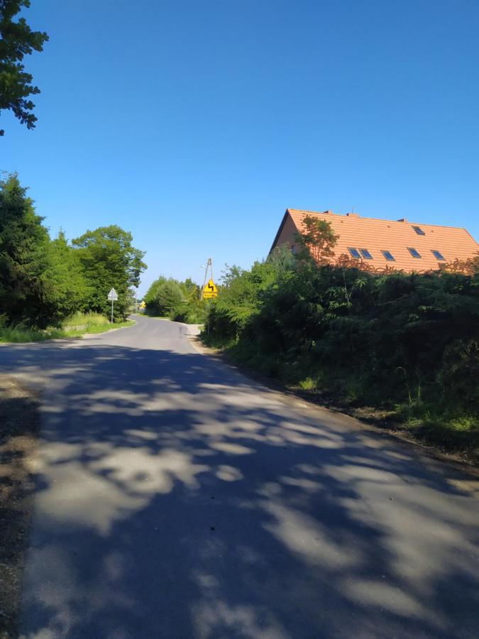 Chata Na Koncu Swiata Czaplin Maly Exteriör bild
